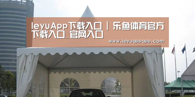 案例标题八