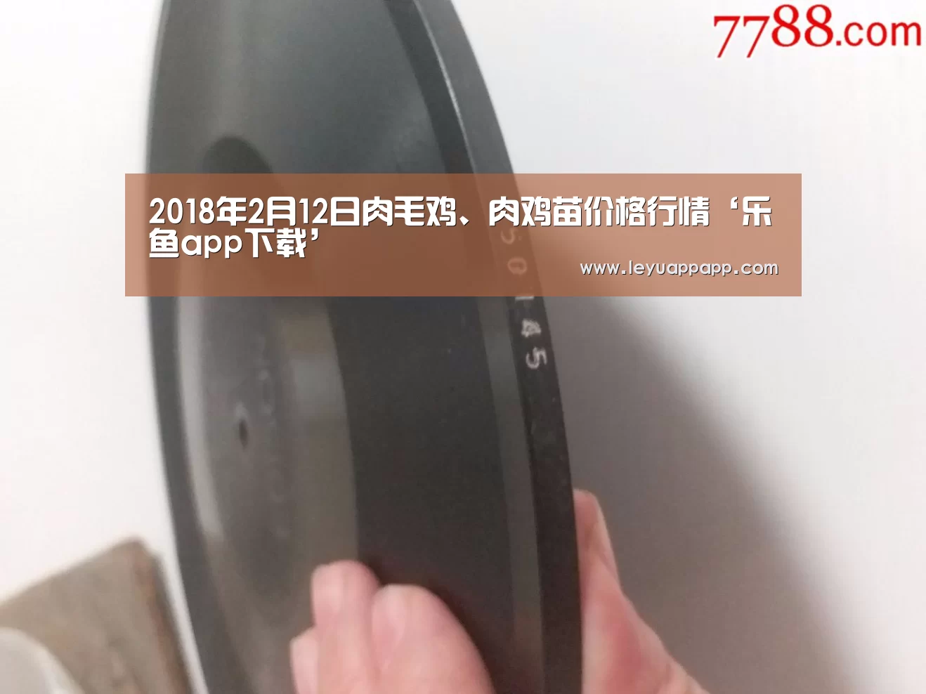 2018年2月12日肉毛鸡、肉鸡苗价格行情‘乐鱼app下载’