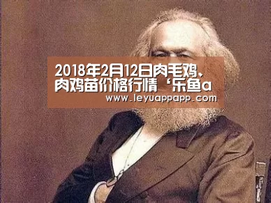 2018年2月12日肉毛鸡、肉鸡苗价格行情‘乐鱼app下载’(图3) 乐鱼app下载
