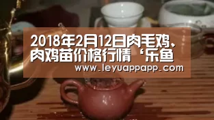 2018年2月12日肉毛鸡、肉鸡苗价格行情‘乐鱼app下载’(图2) 乐鱼app下载