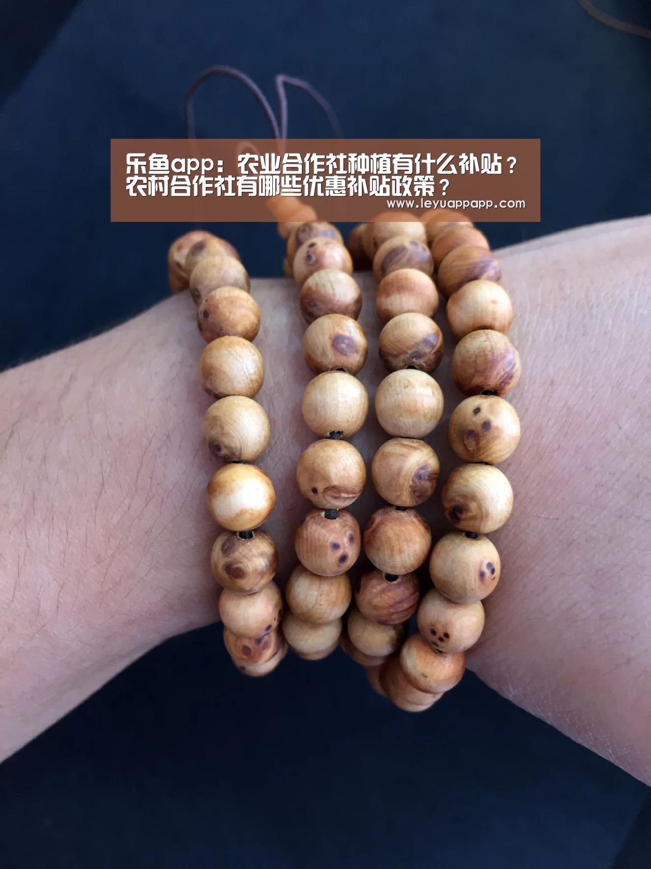 乐鱼app:农业合作社种植有什么补贴?农村合作社有哪些优惠补贴政策?(图4) 乐鱼体育下载