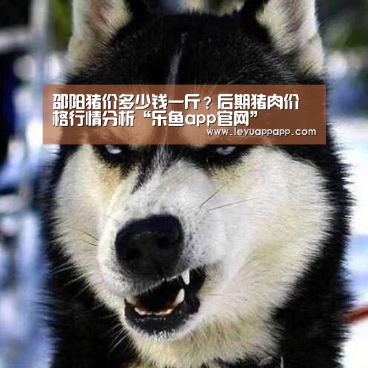 乐鱼app