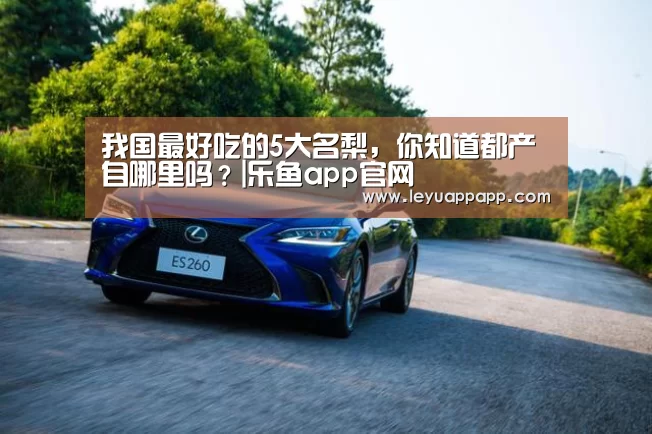 我国最好吃的5大名梨,你知道都产自哪里吗?|乐鱼app官网(图2) 乐鱼体育下载