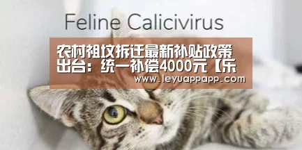 农村祖坟拆迁最新补贴政策出台:统一补偿4000元【乐鱼app官网】(图4) 乐鱼体育下载