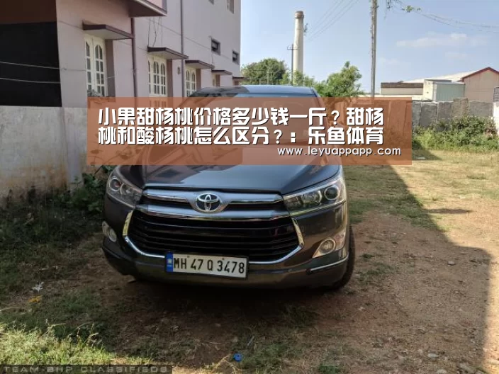 小果甜杨桃价格多少钱一斤?甜杨桃和酸杨桃怎么区分?:乐鱼体育下载(图1) 乐鱼体育下载