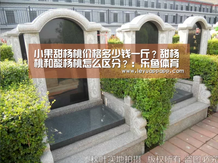 小果甜杨桃价格多少钱一斤?甜杨桃和酸杨桃怎么区分?:乐鱼体育下载(图3) 乐鱼app官网