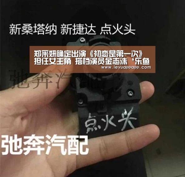 郑采妍确定出演《初恋是第一次》担任女主角 搭档演员金志洙‘乐鱼app官网’(图4) 乐鱼app