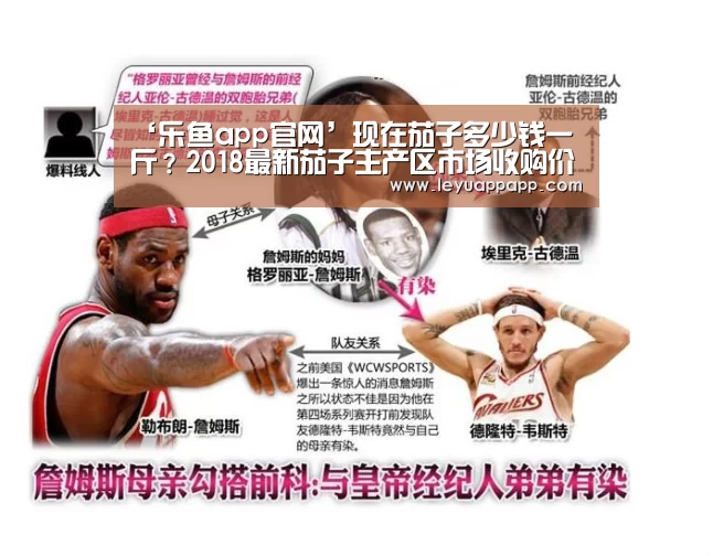 ‘乐鱼app官网’现在茄子多少钱一斤?2018最新茄子主产区市场收购价格行情(图3) 乐鱼app下载