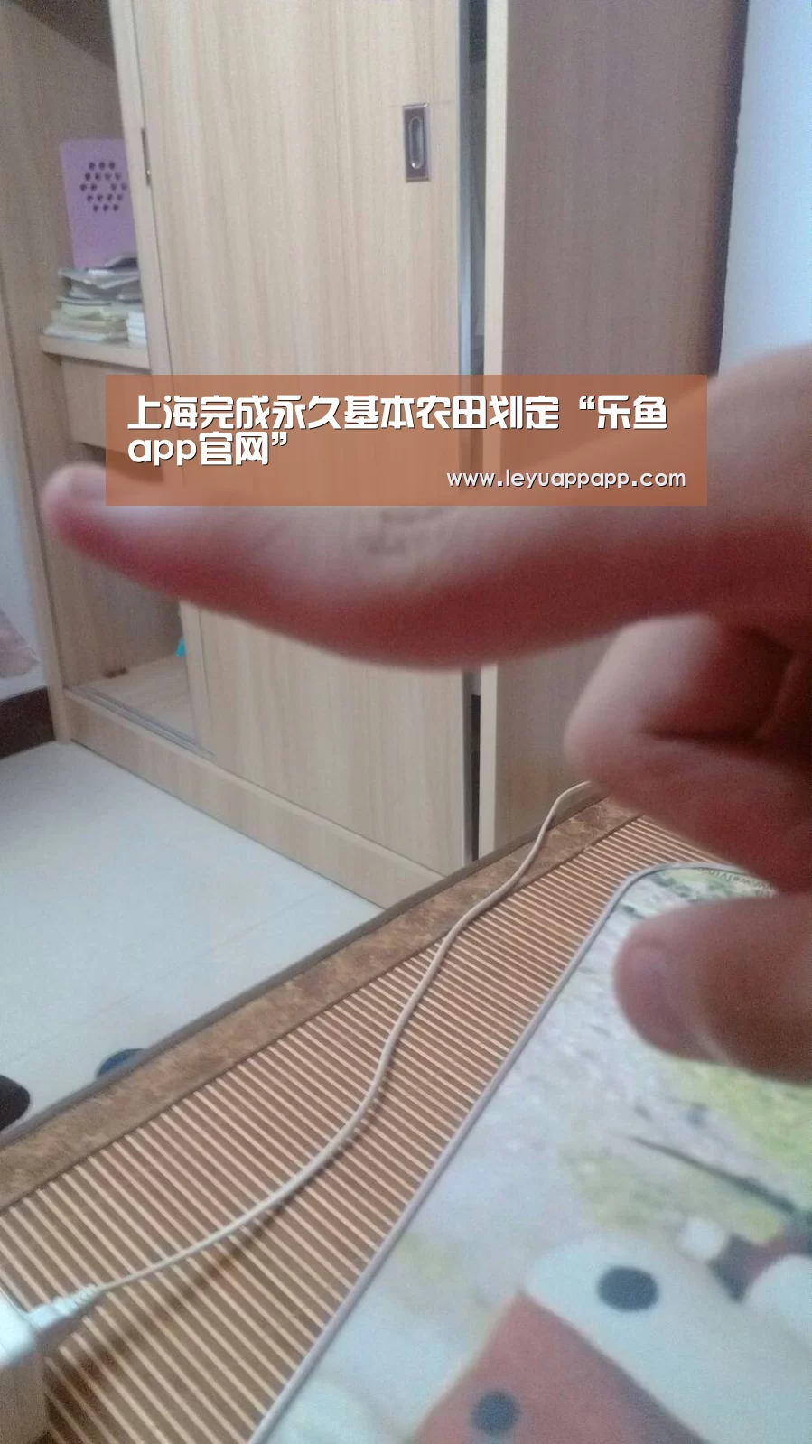 上海完成永久基本农田划定“乐鱼app官网”(图2) 乐鱼app