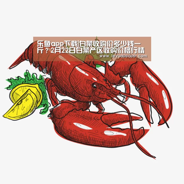 乐鱼app下载|白菜收购价多少钱一斤?2月22日白菜产区收购价格行情(图1) 乐鱼app