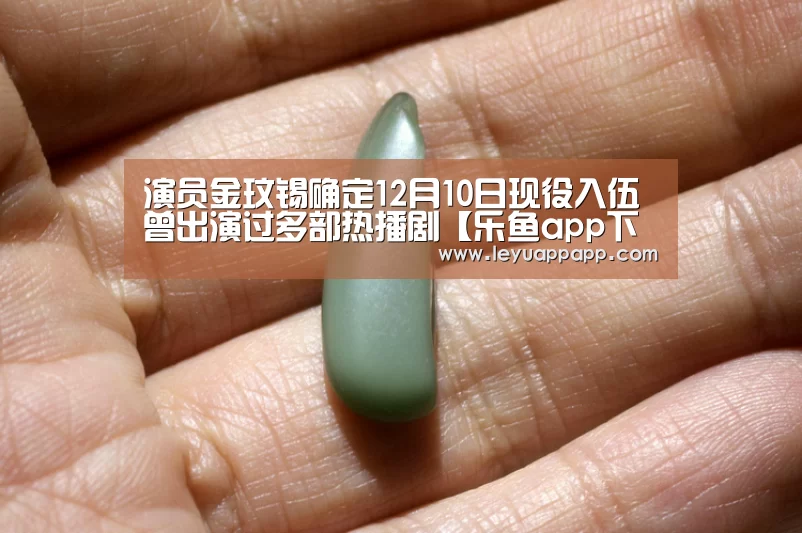 乐鱼体育下载