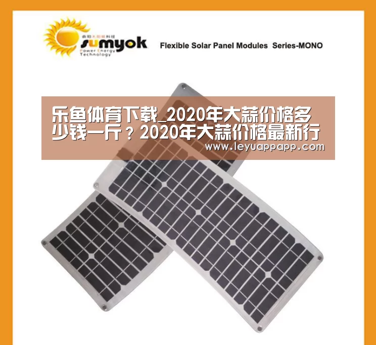 乐鱼体育下载_2020年大蒜价格多少钱一斤?2020年大蒜价格最新行情预测(图1) 乐鱼app官网