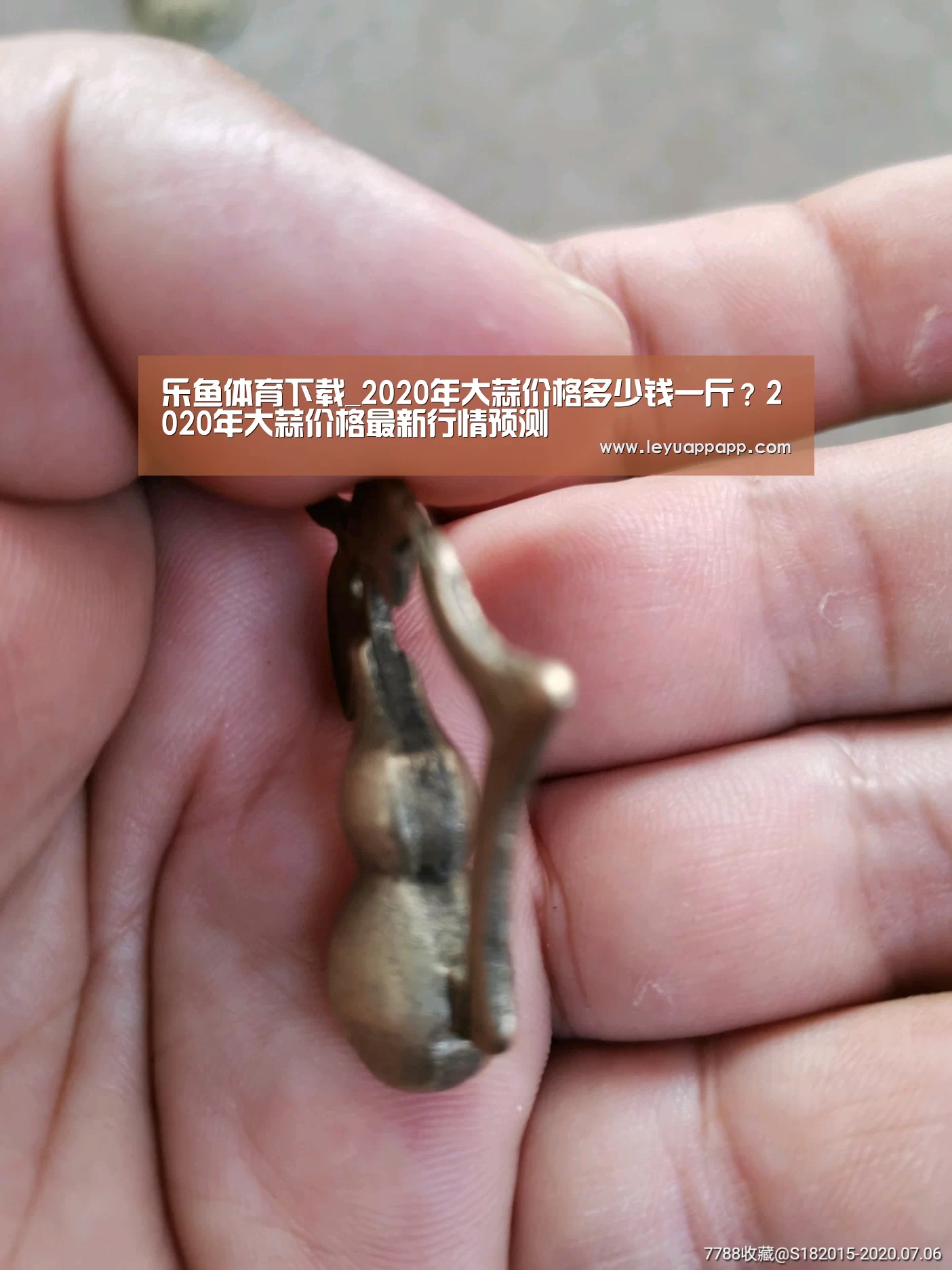 乐鱼体育下载_2020年大蒜价格多少钱一斤?2020年大蒜价格最新行情预测(图2) 乐鱼app下载